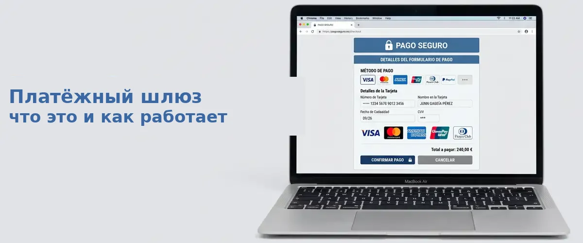 Платежный шлюз: что это и как работает Платежный шлюз: что это и как работает